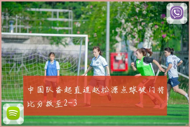 中国队奋起直追赵松源点球破门将比分扳至2-3