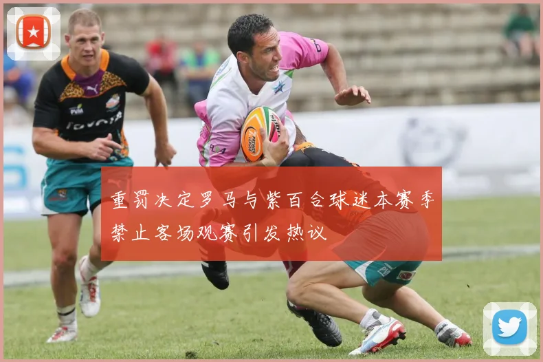 重罚决定罗马与紫百合球迷本赛季禁止客场观赛引发热议